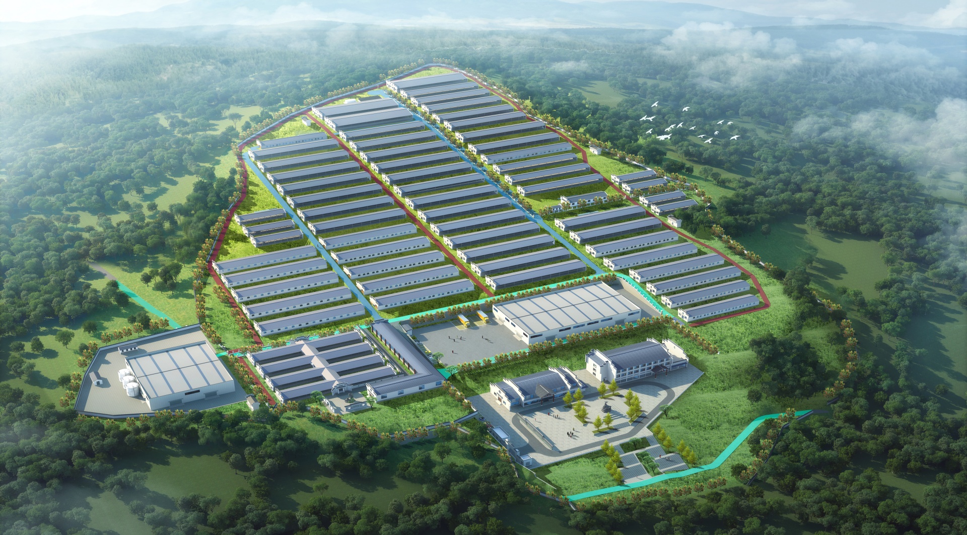 黑山羊养殖基地