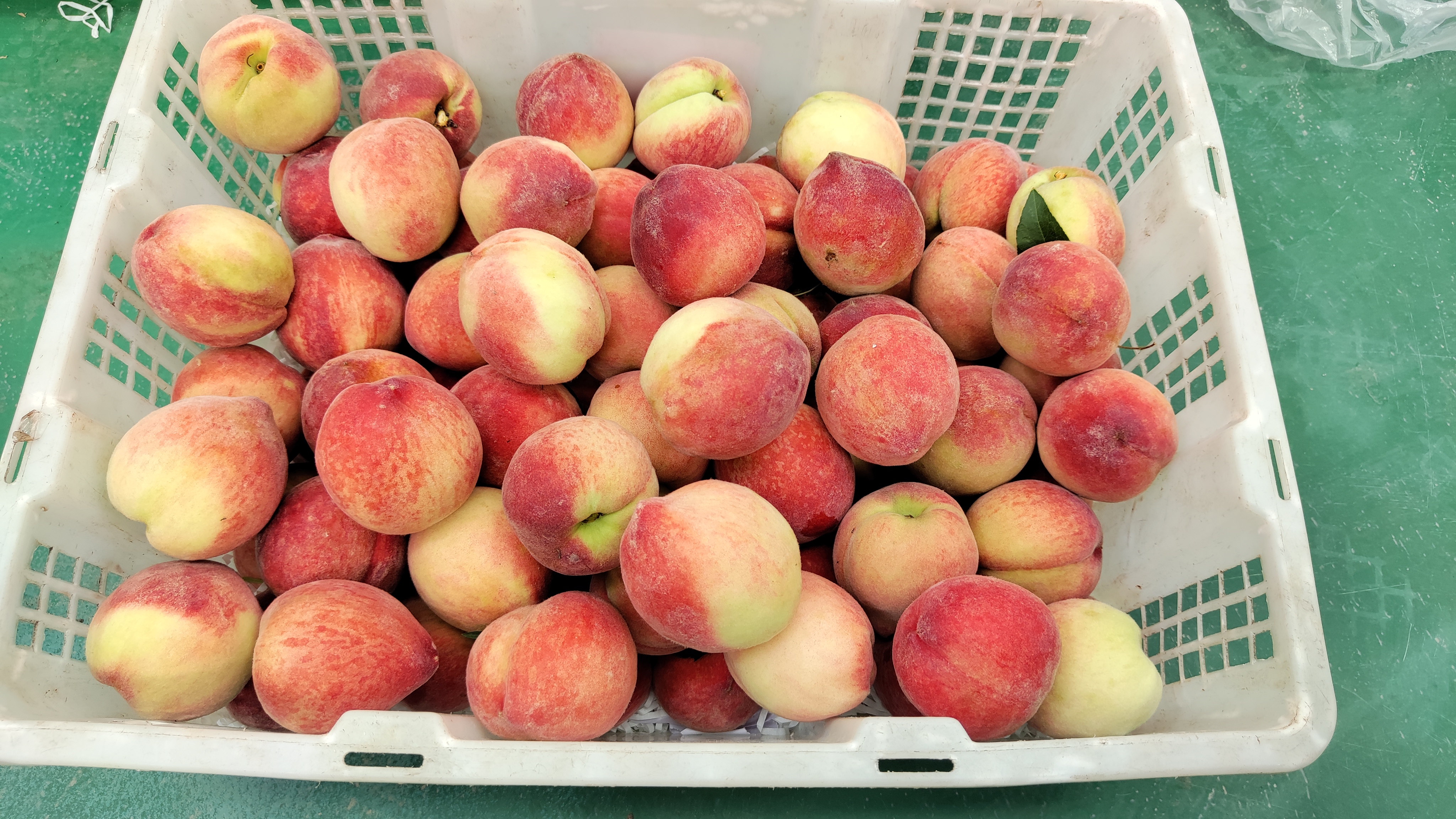 关于《关于公开招聘员工的公告（2022年第三批次)》的补充公告