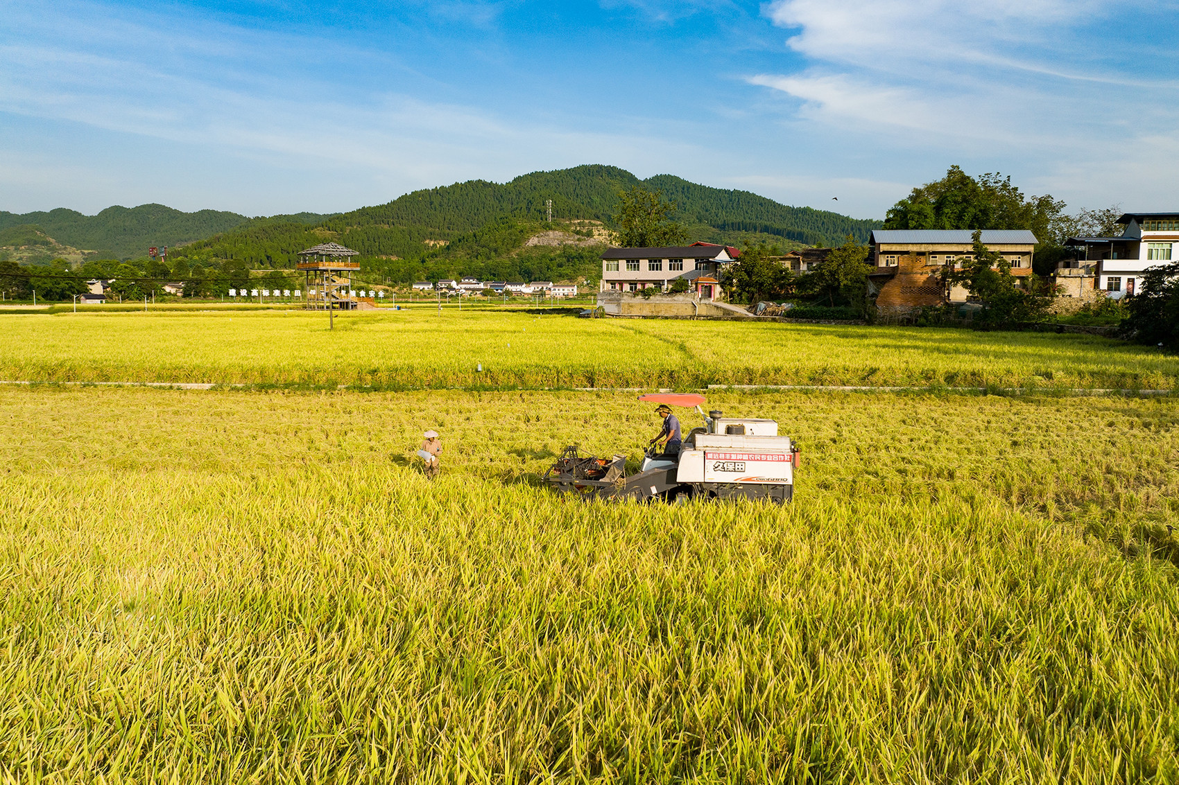 无花果博览中心开展防蚊灭蚊集中消杀专项行动