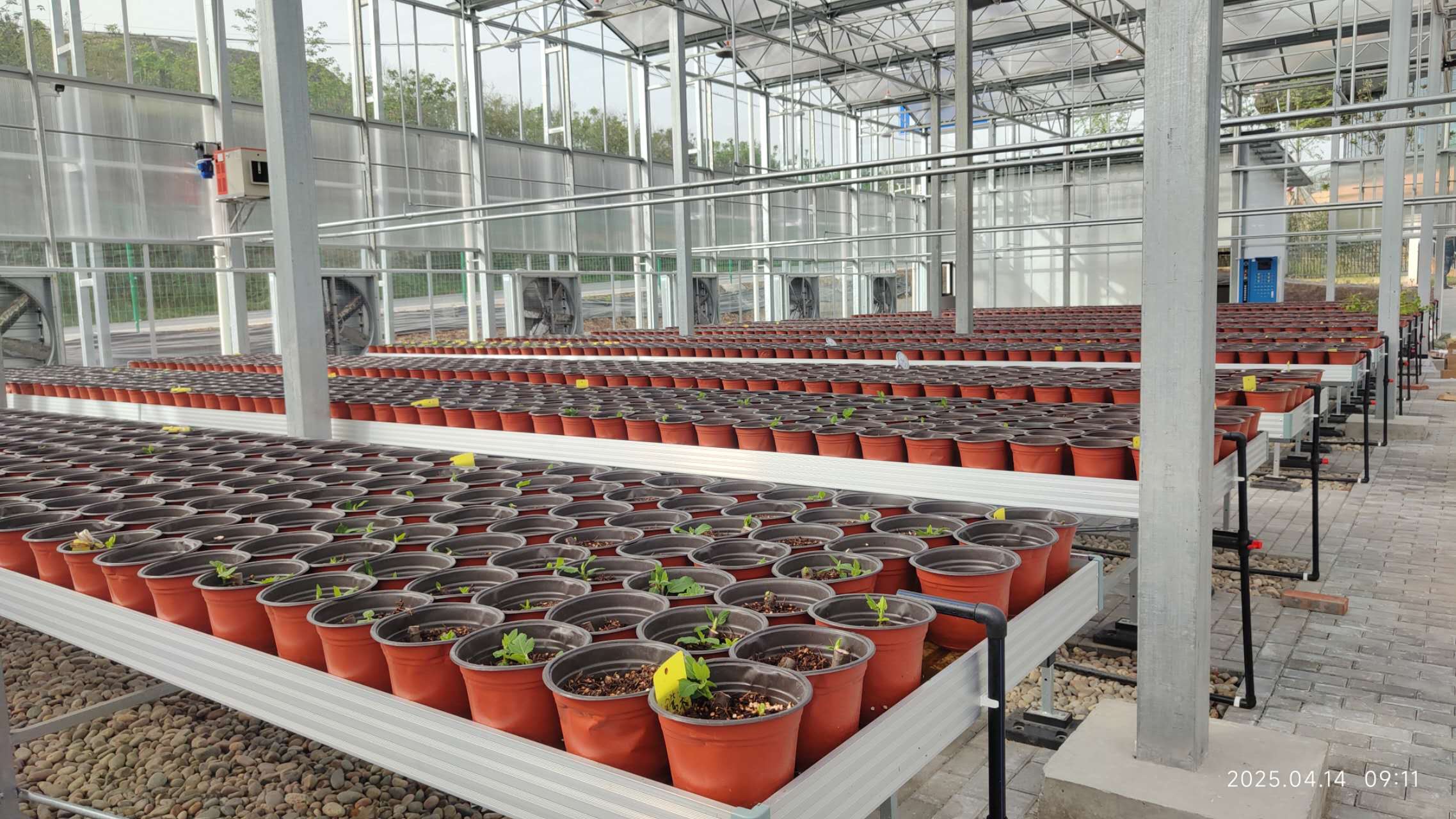 四川远歌农业集团有限公司关于公开招聘工作人员面试成绩的公告